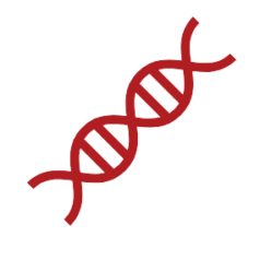 Red clipart of a DNA double helix, representing the concept of genomics and medical research.